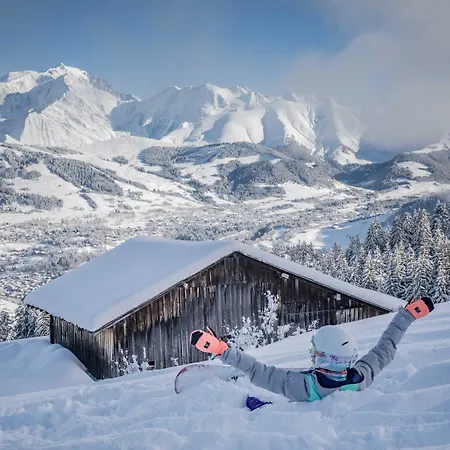 L'arboisie Aparthotel 4*