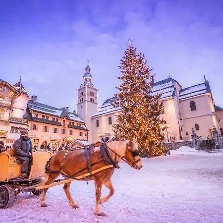 Aparthotel L'arboisie