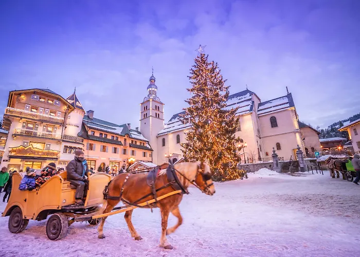 Aparthotel L'arboisie