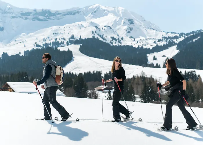 Aparthotel L'arboisie