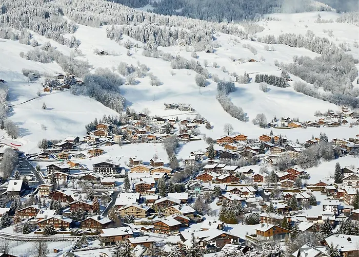 Aparthotel L'arboisie